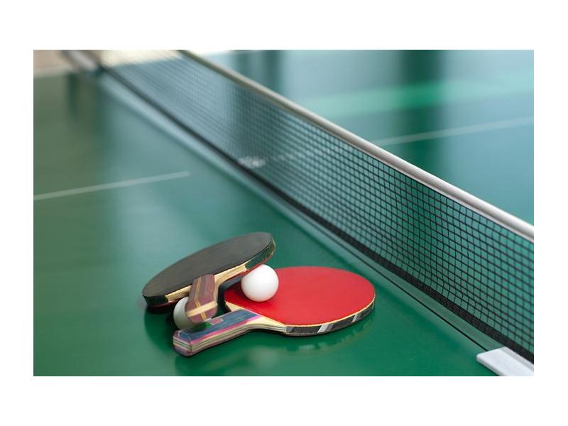 CHRAŠTICE HRAJÍ PING PONG