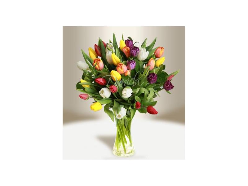 MEZINÁRODNÍ DEN ŽEN