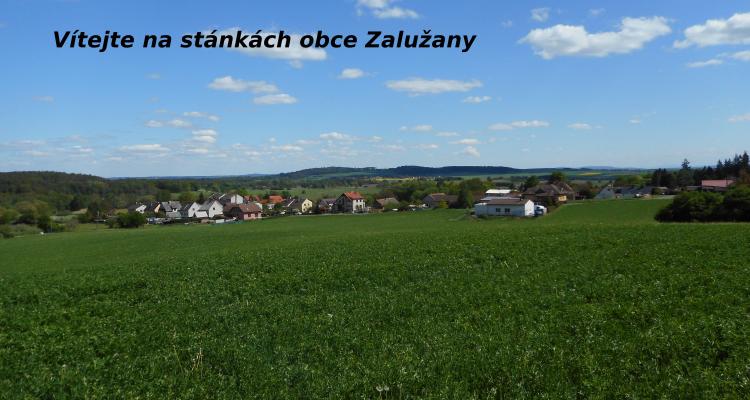 Obec Zalužany leží na rozhraní středních a jižních Čech, 20 km od Příbrami, u silnice I. třídy č. 4 z Prahy do Strakonic a má 320 obyvatel. Nachází se v převážně zemědělské, zčásti zvlněné krajině v blízkosti vodní nádrže Orlík.