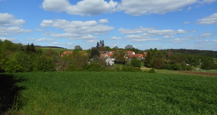 Oficiální stránky Obec Zalužany